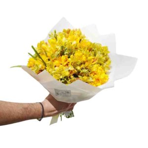 Bouquet de fresias amarillas y astromelias